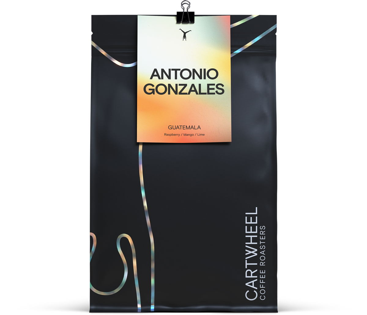 Antonio Gonzalez