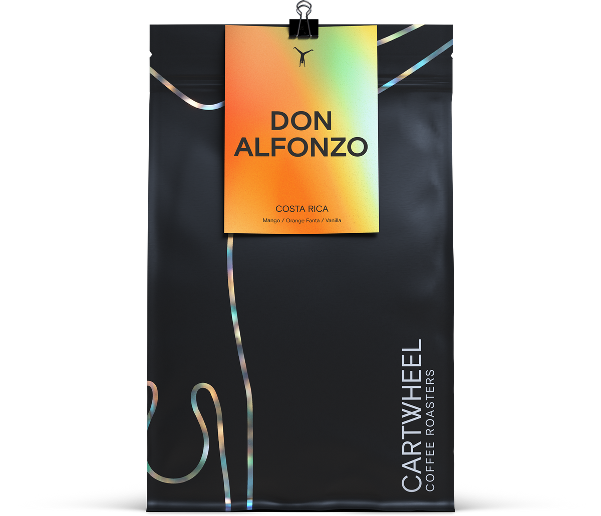 Don Alfonzo