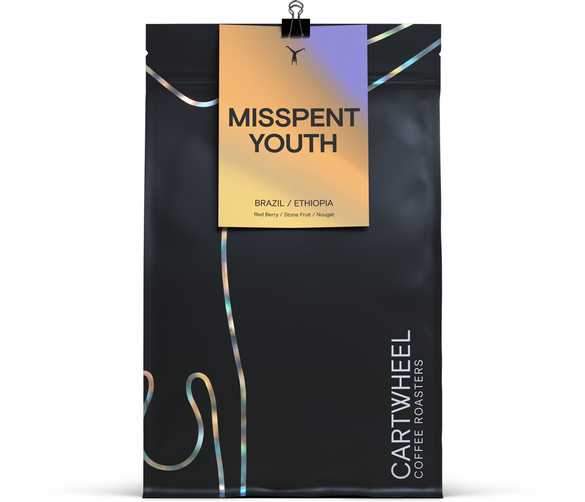 Misspent Youth