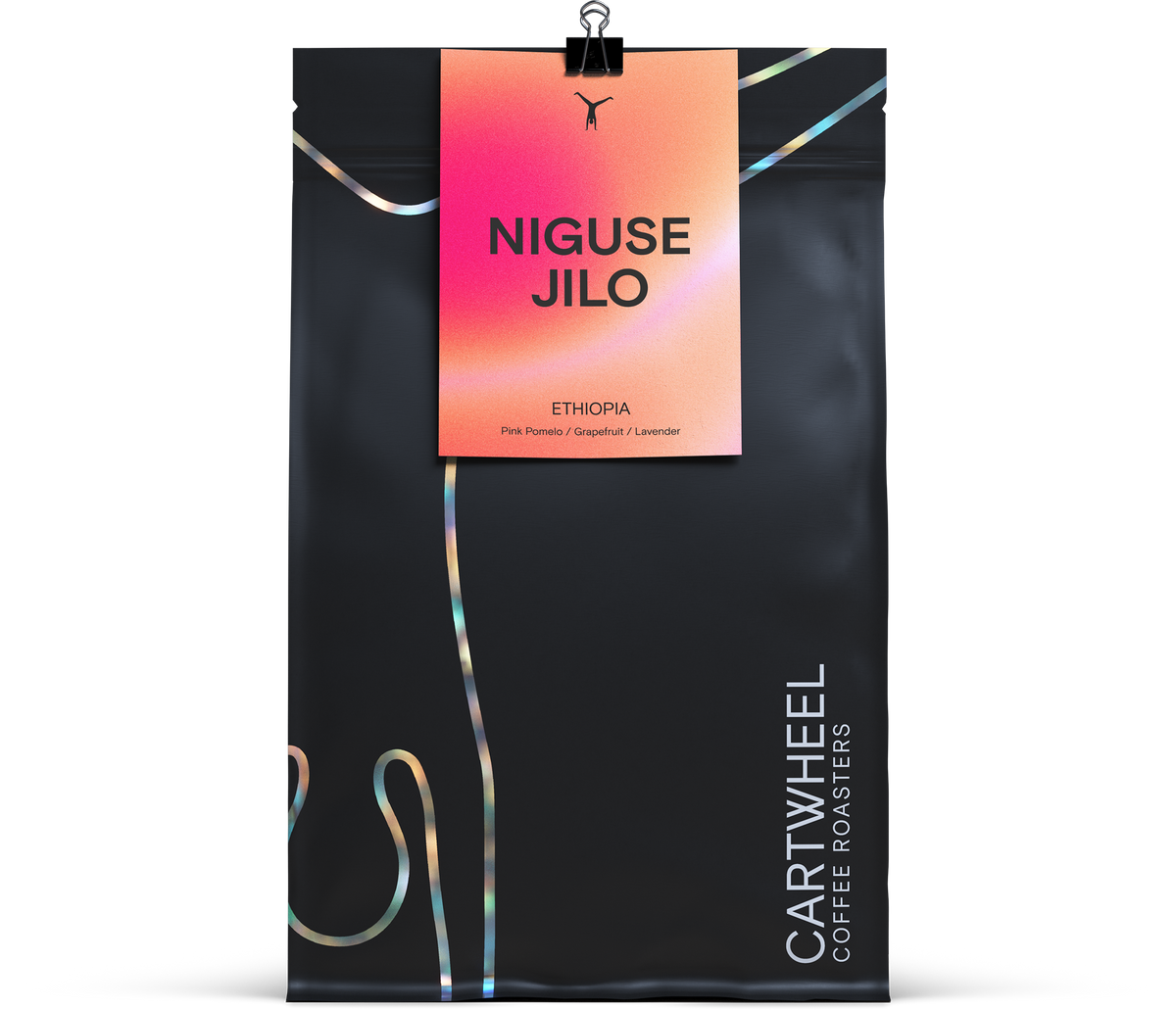 Niguse Jilo
