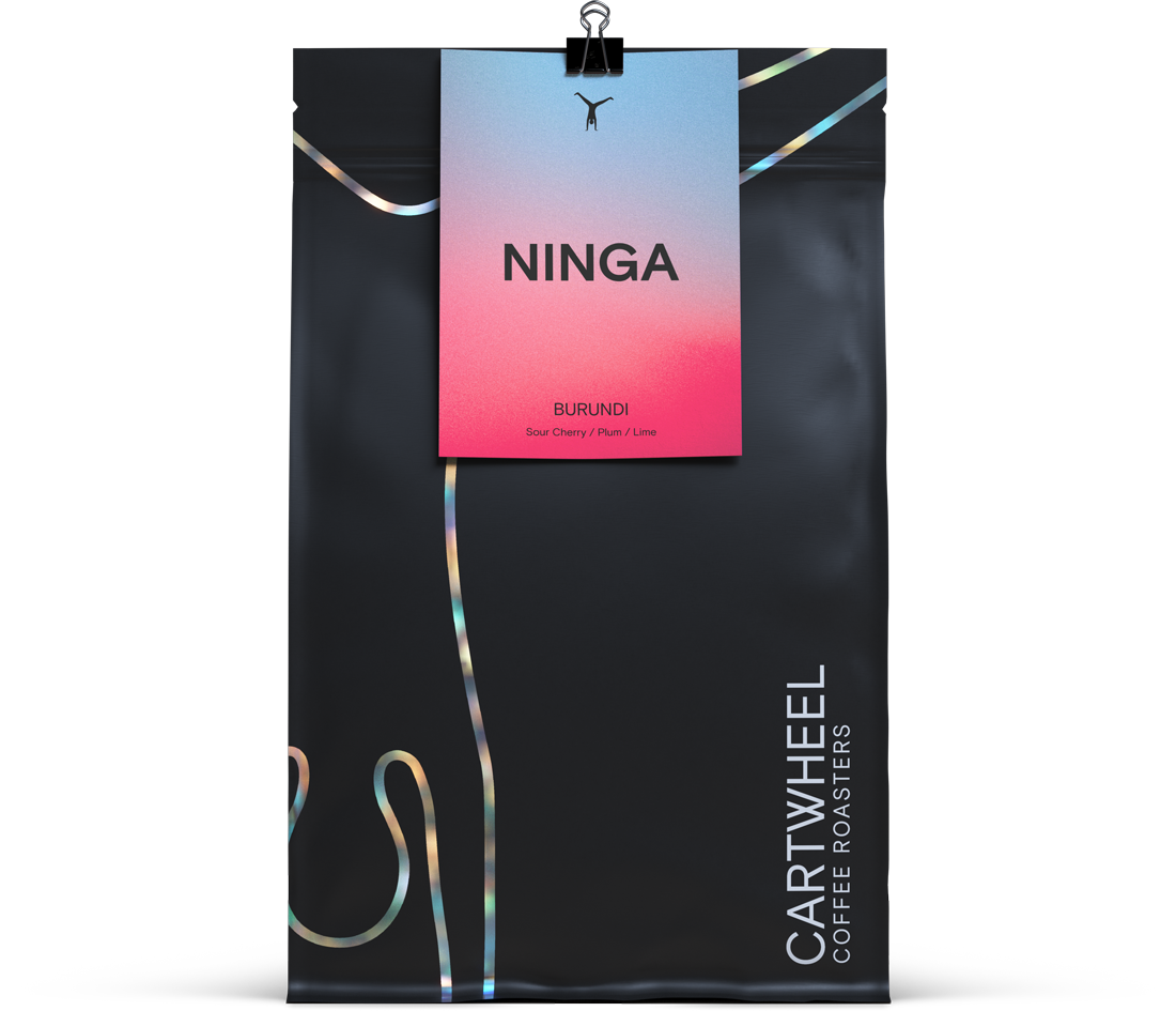 Ninga