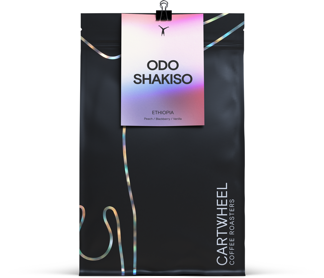 Odo Shakiso