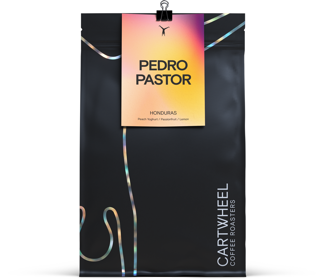 Pedro Pastor