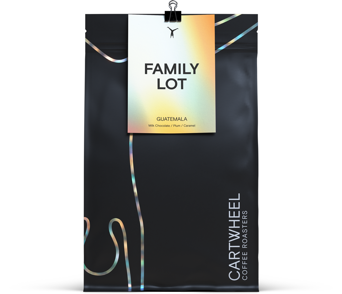 Family Lot
