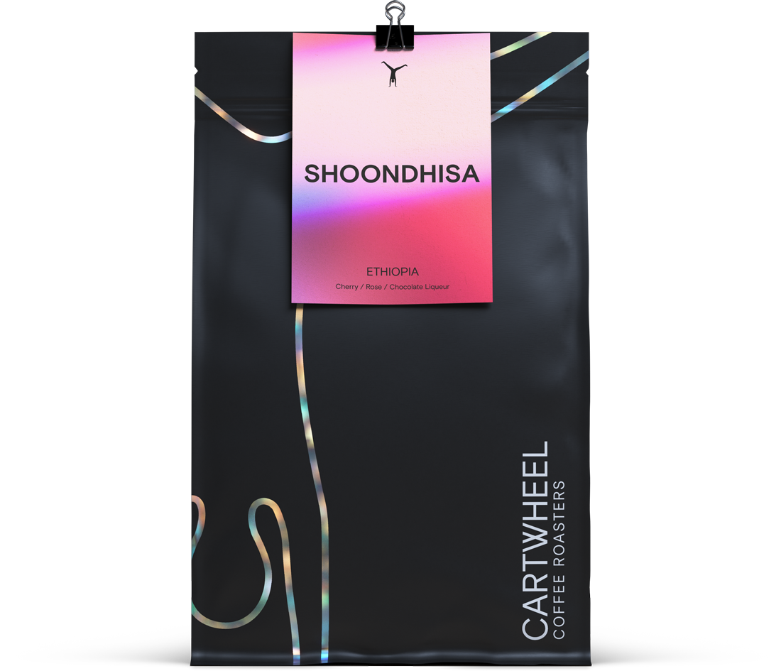 Shoondhisa